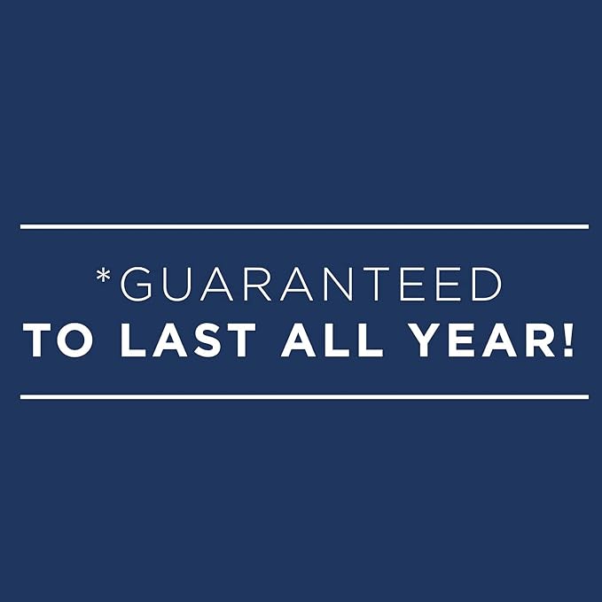 AT-A-GLANCE 2024 Weekly & Monthly Planner, 7" x 8-3/4", Medium, Refillable, Executive, DayMinder, Black (G5450024)