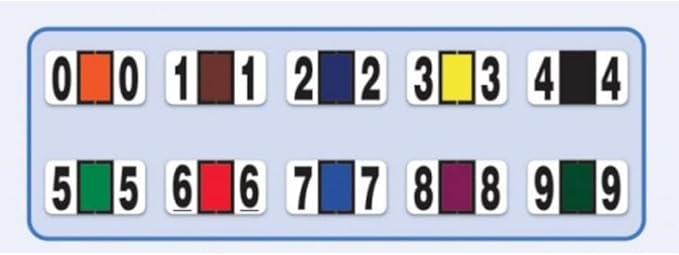 File Right Number Labels Roll – Color-Coded Numeric Filing Labels, 1-5/8" × 7/8" Laminated Self-Adhesive File Folder Numbers for, Office Filing Systems, Automotive Records – Roll #6, 2 Roll