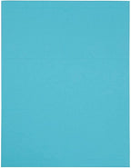 JAM PAPER Shipping Address Labels - Large - 3 1/3 x 4 - Blue - 120/Pack