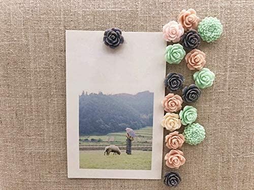 24Pcs Decorative Pushpins,Cork Board Tacks,Bulletin Board Tacks,Thumb Tack Decorative for CorkBoard, Office Organization or Home