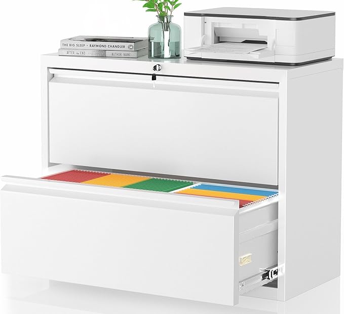 Pataku Lateral File Cabinet, 2 Drawer File Cabinet with Lock, White Filing Cabinets for Home Office, Metal File Cabinet for Hanging Files/Letters/Legal/F4/A4(2Drawer/White)