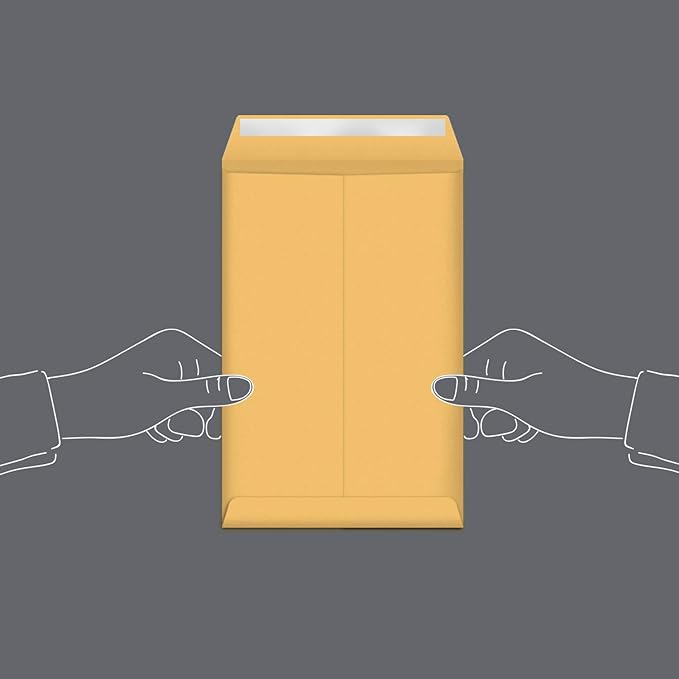 Amazon Basics Catalog Mailing Envelopes, Peel and Seal, 9x12 Inch, Brown Kraft, 100-Pack
