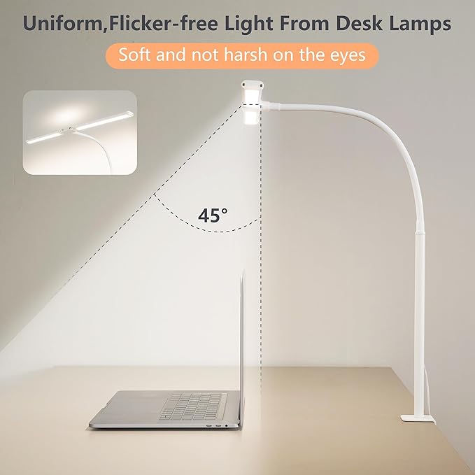FAPEMIH Dual-Head LED Desk Lamp for Office Home, Adjustable Flexible Eye-Caring Desk Light, 5 Modes 10 Brightness Adjustment, USB Adapter Desk Lamp with Clamp-ST-W