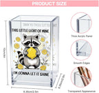 Vgrti This Little Light Of Mine I'm Gonna Let It Shine Acrylic Cosmetic Pencil Pen Holder Cup, Funny Raccoon Lemon Pen Holder Cup, Raccoon Lover Gifts, Mental Health Gifts for Women Colleague Teacher