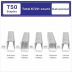 HW HAMWOO 20 Guage Galvanized T/50 Staples,5 Sizes Assorted Size Project Pack for Staple Gun or T-50 Stapler (1/4"+5/16"+3/8"+1/2"+9/16"-6720 pcs)