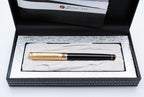 Picasso 902 Gentleman Collection Fountain Pen Original Box (Relievo1)