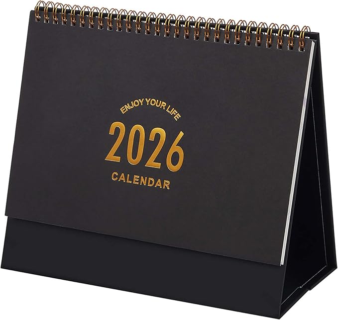 Large Desk Calendar 2026, Standing Flip Medium Desktop Calendar from Now to December 2026 - Metal Ring Twin-Wire Binding Monthly Desk Calendar for Home Office School, 9.9" × 8.7"(L-Black)