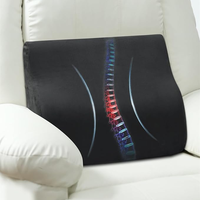 AHUAWA Lumbar Support Pillow for Recliner Chair and Couch, Memory Foam Back Cushion Ergonomic Large Back Support Pillow for Lower Back Pain Relief, with Soft Velvet