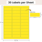 THEBLUETOUCH 1" x 2-5/8" Neon Labels – 750 pcs Printable Labels Stickers (30 per Sheet, 25 Sheets), 5 Assorted Bright Colored Stickers for Inkjet/Laser Printing