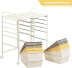 LDAILY 12 Drawer Rolling Storage Cart, Craft Cart Organizer on Wheels w/Metal Frame, Large Capacity & Smooth Drawer, Rolling Cart w/Drawers for Classroom, Office