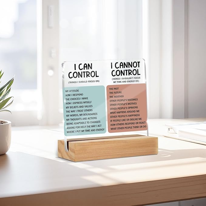 Mental Health Desk Decor Things I Can Control Acrylic Sign, Inspirational Gifts for Women Men Coworkers, Therapist Office Art Decor for Desk Gadgets Table Top Cubicle Living Room Bedroom Decorations 1