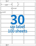 BESTEASY 30-up 100 Sheets 1" X 2-5/8" Address Shipping Labels for Laser and Inkjet Printers, FBA Product Labels (3000 Labels)