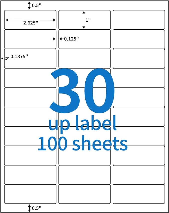 BESTEASY 30-up 100 Sheets 1" X 2-5/8" Address Shipping Labels for Laser and Inkjet Printers, FBA Product Labels (3000 Labels)