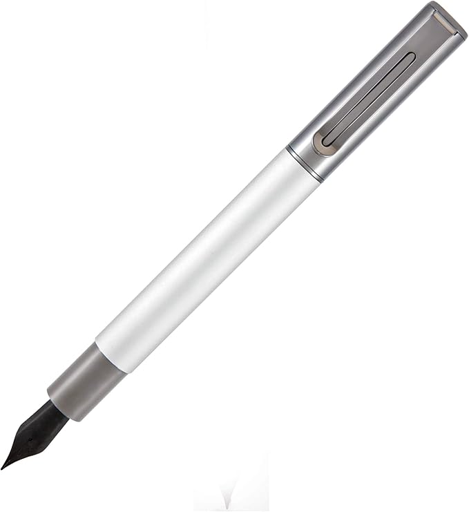 Monteverde USA Ritma Fountain Pen in Silver – Extra Fine Nib, Precision JoWo Stainless Steel, Refillable Ink Cartridge/Converter – Ideal for Professionals & Artists