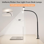 FAPEMIH Dual-Head LED Desk Lamp for Office Home, Adjustable Flexible Eye-Caring Desk Light, 5 Modes 10 Brightness Adjustment, USB Adapter Desk Lamp with Clamp-ST-B
