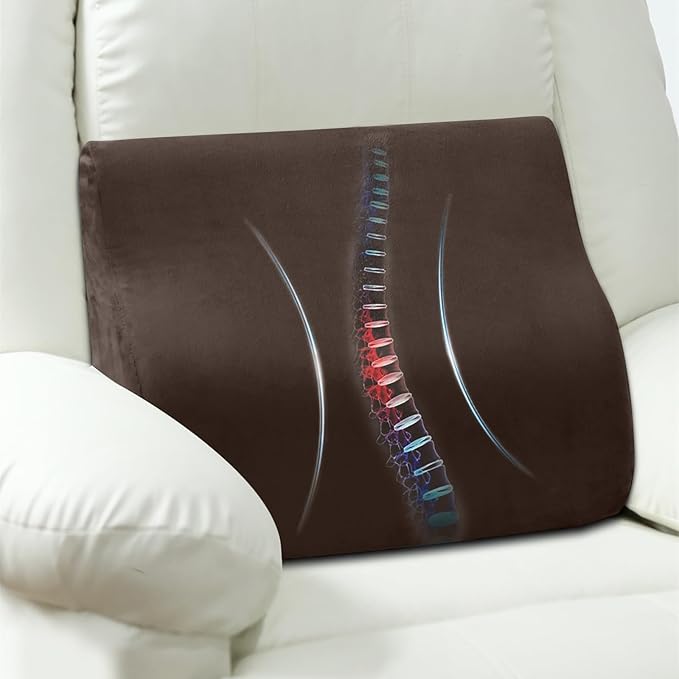 AHUAWA Back Support Pillow for Recliner Chair, Memory Foam Couch Back Cushions Ergonomic Large Lumbar Support Pillow for Lower Back Pain Relief, with Soft Velvet