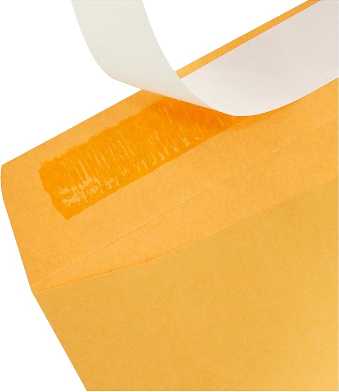 Amazon Basics Catalog Mailing Envelopes, Peel and Seal, 9x12 Inch, Brown Kraft, 250-Pack