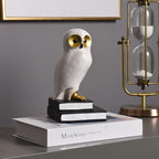 Kakizzy Book Ends for Shelves, Owl Decorative Bookends Bronze Bird Book Stopper Unique Kids Book Holders with Anti-Slip Base Luxurious Bookends for Kids Rooms Office Home Decor(White)