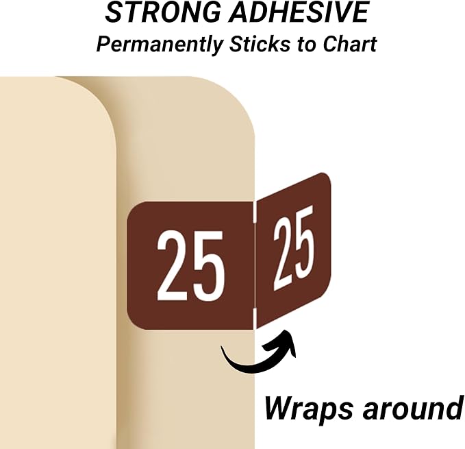 2025 Year Stickers, Doctor Stuff 2025 Chart Stickers, Brown Color Coded, Digi Color Style, USA Made Year Labels for End Tab File Folders, 500/Roll, 1 Roll, 3/4" x 1-1/2"