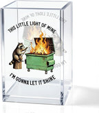 QYUVK This Little Light Of Mine I'm Gonna Let It Shine Acrylic Cosmetic Pencil Holder Cup, Funny Raccoon Dumpster Fire Pen Holder Gifts For Women Men Friends HR Doctor, Office Gifts for Coworkers