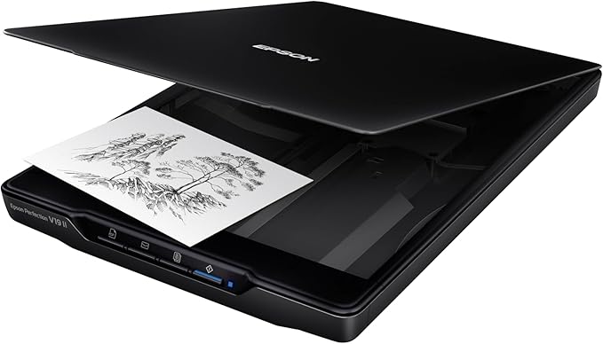 Epson Perfection V19 II Color Photo and Document Flatbed Scanner with 4800 dpi Optical Resolution USB Power, High-Rise, Removable Lid