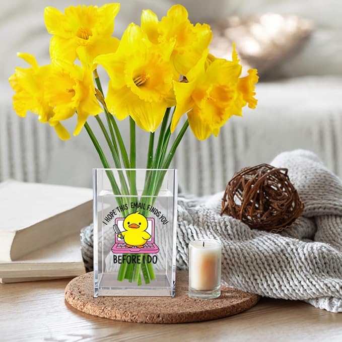 Vgrti I Hope This Email Finds You Before I Do Acrylic Cosmetic Pencil Pen Holder Cup, Funny Duck Knife Desk Organizer for Home Office Decor, Sarcastic Work Gifts for Women Men Duck Lovers Coworkers