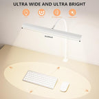 FAPEMIH LED Desk Lamp for Office Home, Adjustable Flexible Eye-Caring Desk Light with,5 Modes 10 Brightness Adjustment, USB Adapter Desk Lamp with Clamp-T-W