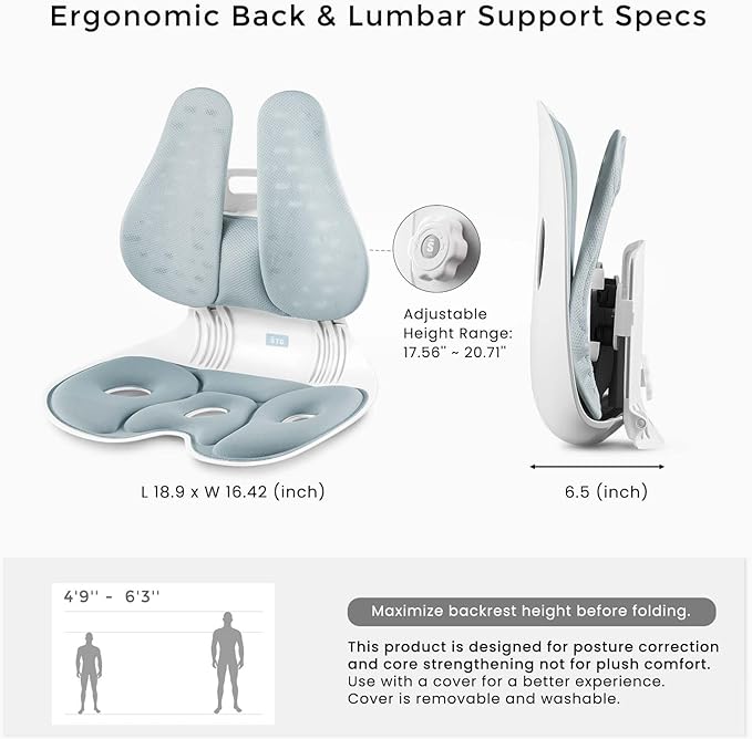 ZZWS Foldable Ergonomic Back and Lumbar Support with Adjustable Inflatable Lumbar Cushion for Good Posture Correction and Back Pain Relief, Perfect for Office, Floor Seat and Work from Home