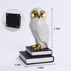 Kakizzy Book Ends for Shelves, Owl Decorative Bookends Bronze Bird Book Stopper Unique Kids Book Holders with Anti-Slip Base Luxurious Bookends for Kids Rooms Office Home Decor(White)