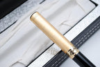 Picasso 902 Gentleman Collection Fountain Pen Original Box (Relievo1)