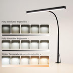 FAPEMIH LED Desk Lamp for Office Home, Adjustable Flexible Eye-Caring Desk Light with,5 Modes 10 Brightness Adjustment, USB Adapter Desk Lamp with Clamp-T-B