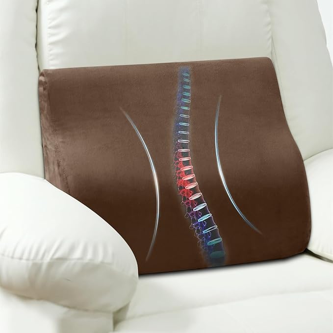 AHUAWA Lumbar Support Pillow for Recliner Chair and Couch, Memory Foam Back Cushion Ergonomic Large Back Support Pillow for Lower Back Pain Relief, with Soft Velvet
