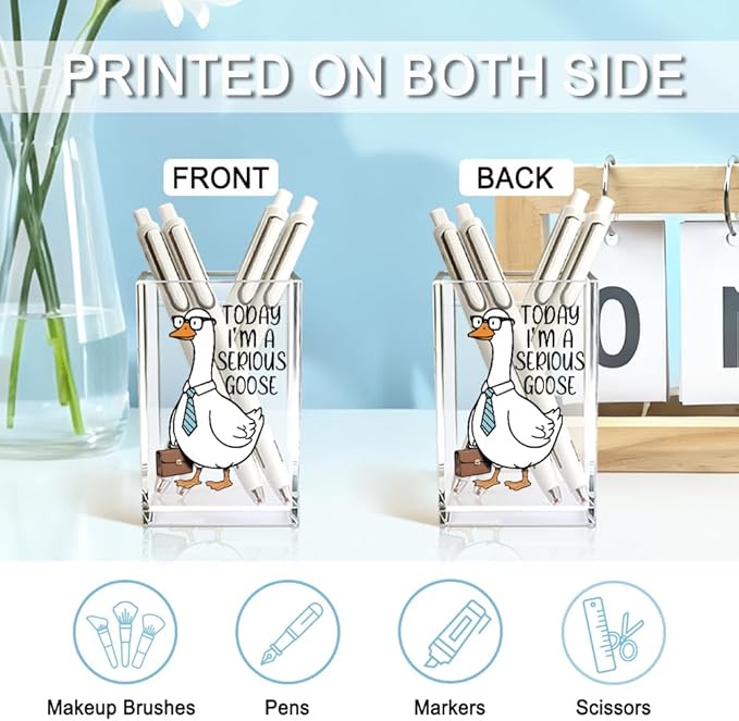 QYUVK Today I'm A Serious Goose Acrylic Cosmetic Pencil Holder Cup, Funny Silly Goose Pen Holder Gifts For Women Men Friends HR Boss, Office Sarcastic Humor Gifts for Coworkers, Goose Lover Present