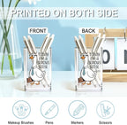 QYUVK Today I'm A Serious Goose Acrylic Cosmetic Pencil Holder Cup, Funny Silly Goose Pen Holder Gifts For Women Men Friends HR Boss, Office Sarcastic Humor Gifts for Coworkers, Goose Lover Present