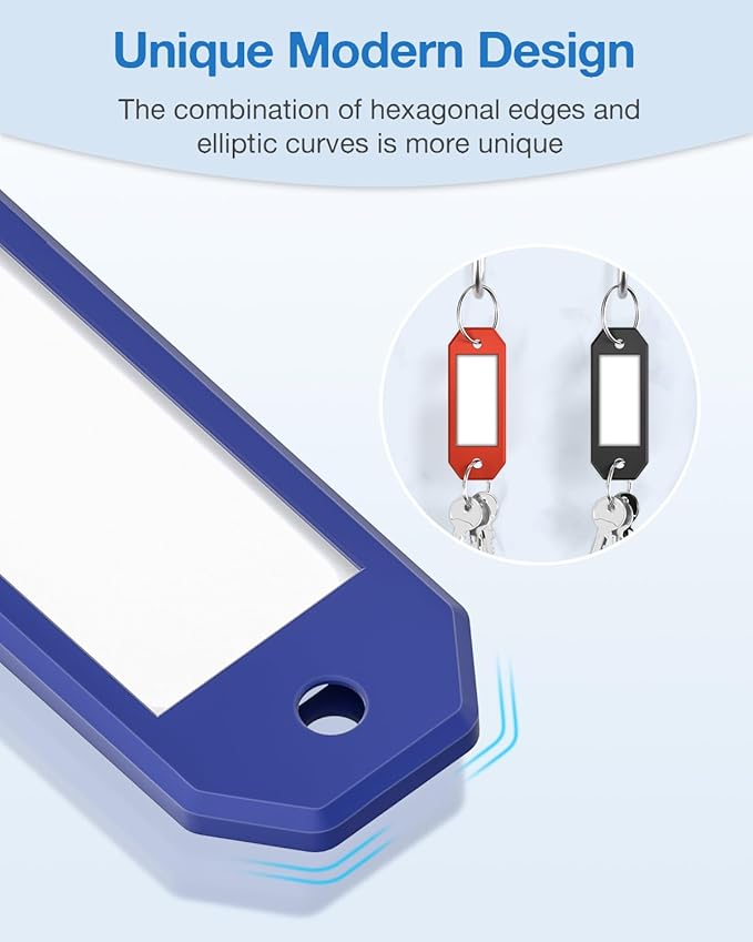 ttstar Hexagon Key Tags with Labels – 10 Pack Color-Coded Keychain Tags with Ring, Writable Label Window for Key Organization, ID and Name Tags for Home or Office