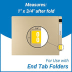 Doctor Stuff - File Folder Labels, Terminal Digit Filing, Consecutive Double Digit Numbers 00-99, Compatible with SMEAD DDS - SMDM Series Chart Stickers, 1" x 1-1/2", 1 Each of 10 Rolls, 500/Roll