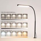 FAPEMIH LED Desk Lamp for Office Home, Adjustable Flexible Eye-Caring Desk Light with,5 Modes 10 Brightness Adjustment, USB Adapter Desk Lamp with Clamp-MINI-B