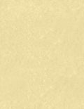 LUXPaper 8.5" x 11" Paper | Letter Size | Gold Parchment | 60lb. Text | 250 Qty