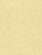 LUXPaper 8.5" x 11" Paper | Letter Size | Gold Parchment | 60lb. Text | 250 Qty