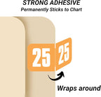 2025 Year Stickers, Doctor Stuff 2025 Chart Stickers, Safeguard Style Ringbook Sheets, Light Orange Color Coded, USA Made Year Labels for End Tab File Folders, 270/Package, 3/4" x 1-1/2"