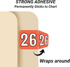 2026 Year Stickers, Doctor Stuff 2026 Chart Stickers, Coral/Black Color Coded, Colwell Jewel Tone Style, USA Made Year Labels for End Tab File Folders, 500/Roll, 1 Roll, 3/4" x 1-1/2"