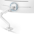ARES WING Ultrawide Monitor Arm White for 17 to 49 Inch Heavy Duty Curved Screen, Holds 44 Lbs, Adjustable Gas Spring Monitor Arm Desk Mount with C Clamp, Grommet Base, 75/100 Vesa Mount