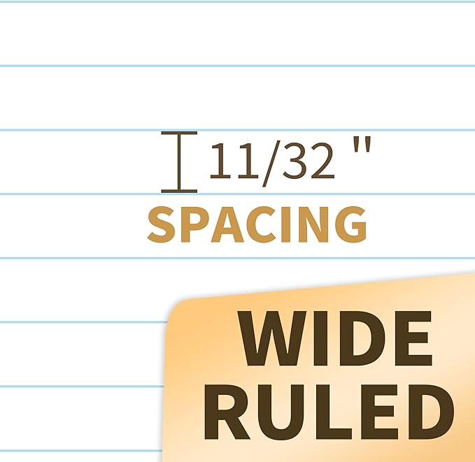 SUNEE Spiral Notebooks Wide Ruled, 1-Subject, 4 Pack, 8 x 10-1/2 inch, 70 Sheets, 3-Hole Punched 70gsm Paper, Green, Grey, Beige, Red for Work, Home & School, Writing Journal
