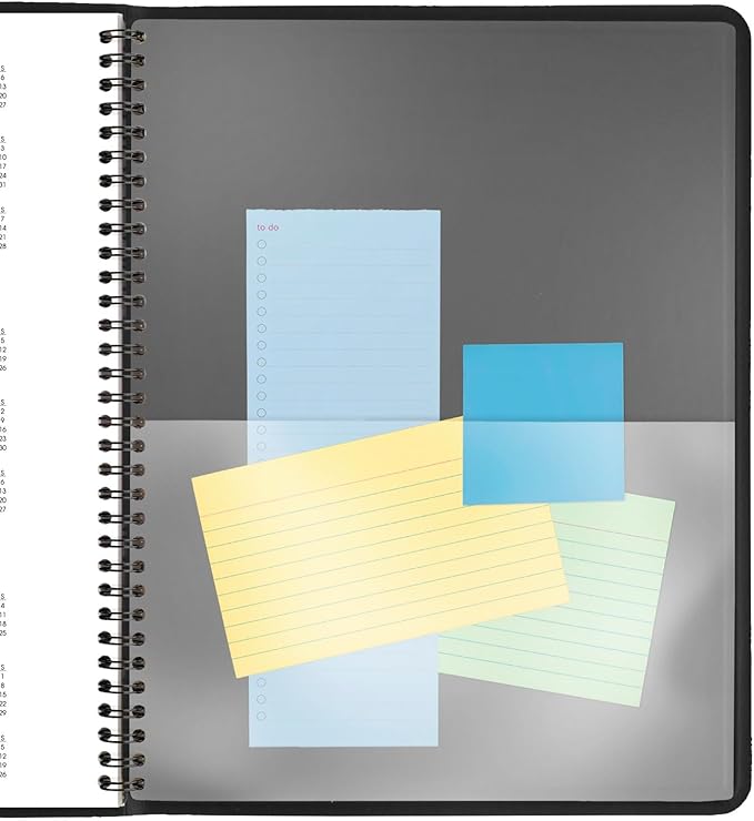 AT-A-GLANCE 2025 Appointment Book Planner, Daily, Two Person Group Planner, 8" x 11", Large, Quarter-Hourly, Black (702220525)