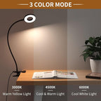 iZELL Desk Lamp, LED Reading Light with Clamp, 3 Color Modes & 10 Brightness Flexible Arm Book Light for Kids Reading Book in Bed at Night Clip on Table, Computer, Zoom Meetings - 27.6‘’ Black