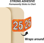 2025 Year Labels, Doctor Stuff 2025 Chart Stickers, Holographic Orange Colored, USA Made Year Label for End Tab File Folders, 500 Labels per Roll, 1 Roll, 3/4" x 1-1/2"