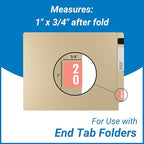 Doctor Stuff - File Folder Labels, Terminal Digit Filing, Consecutive Double Digit Numbers 20-29, Compatible with SMEAD DDS - SMDM Series Chart Stickers, Pink, 1" x 1-1/2", 500/Roll