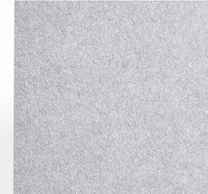 LUXPaper 8.5" x 11" Paper | Letter Size | Silver Metallic | 80lb. Text | 50 Qty