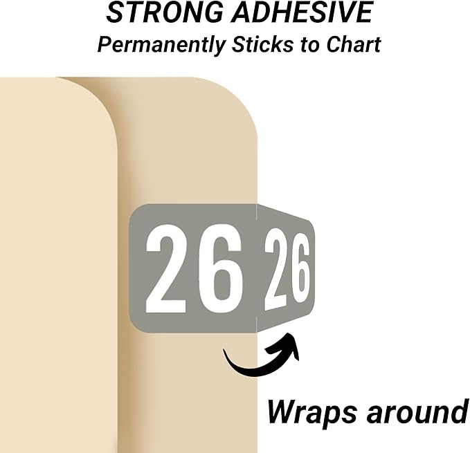 2026 Year Labels, Doctor Stuff 2026 Chart Stickers, Gray Color Coded, S & W/Acme Style, USA Made Year Stickers for End Tab File Folders, 500/Roll, 1 Roll, 3/4" x 1-1/2"