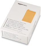 Amazon Basics Self Adhesive Catalog Mailing Envelopes, Peel and Seal, 6x9 Inch, Brown Kraft, 100-Pack